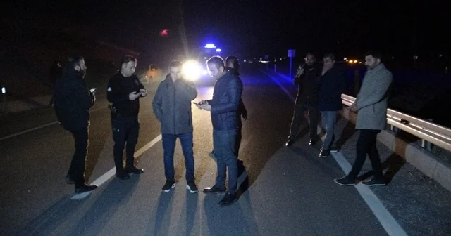 Malatya da kaçan yarış atları karayoluna çıktı: 6 at telef oldu, 2 kişi yaralandı Malatya Haberleri