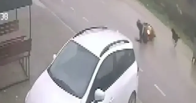 Sahipsiz köpek saldırısından kaçan motokuryenin kaza anı kamerada VİDEO İZLE