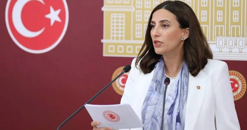 CHP li Rızvanoğlu ndan tepki: 11 ilde bazı alanlar orman vasfını kaybetti!