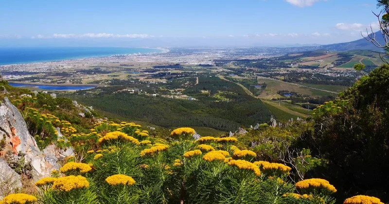 Dünyanın en vahşi yeri için harekete geçildi Sözcü Gazetesi