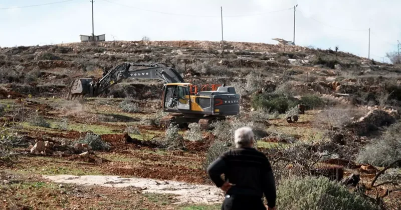 İsrail den Batı Şeria da çevre ve hayvan katliamı