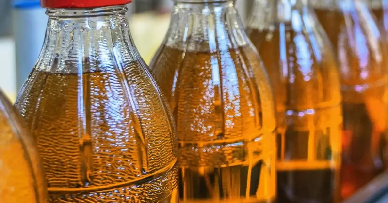 Dev içecek firması borsaya giriyor