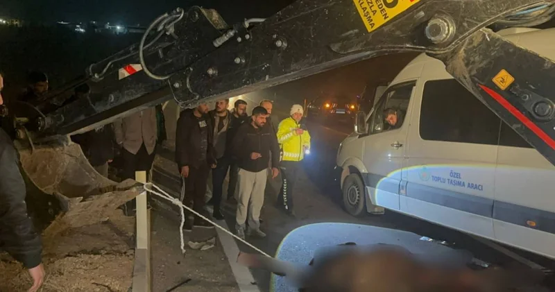 İşletmeden kaçan yarış atları karayoluna çıktı: Kazaya neden olan 6 tay öldü!