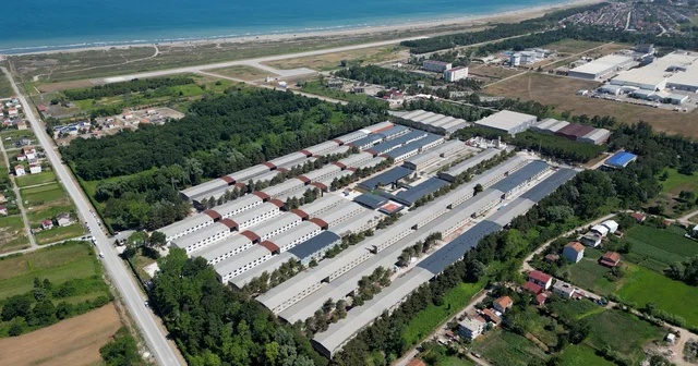 Tütün hangarları geleceğin teknoloji üssüne dönüştü Samsun Haberleri