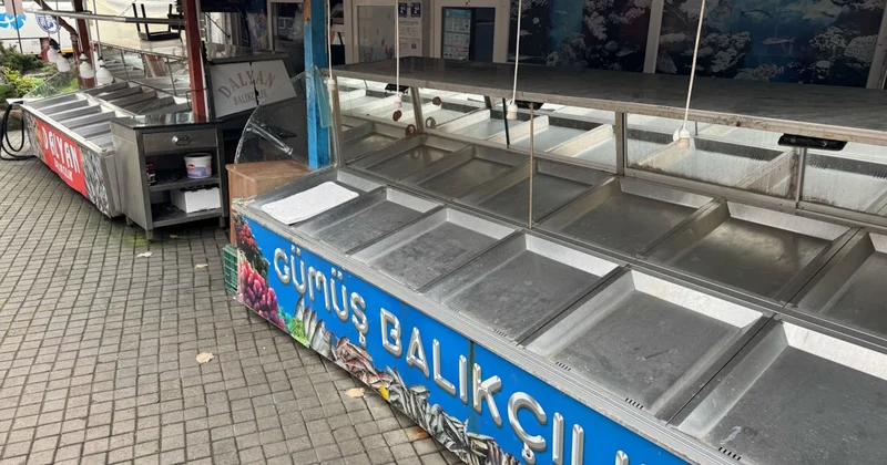 Palamut gelmedi, hamsi tutunamadı: Balıkçılar sezonu erken kapattı Sözcü Gazetesi