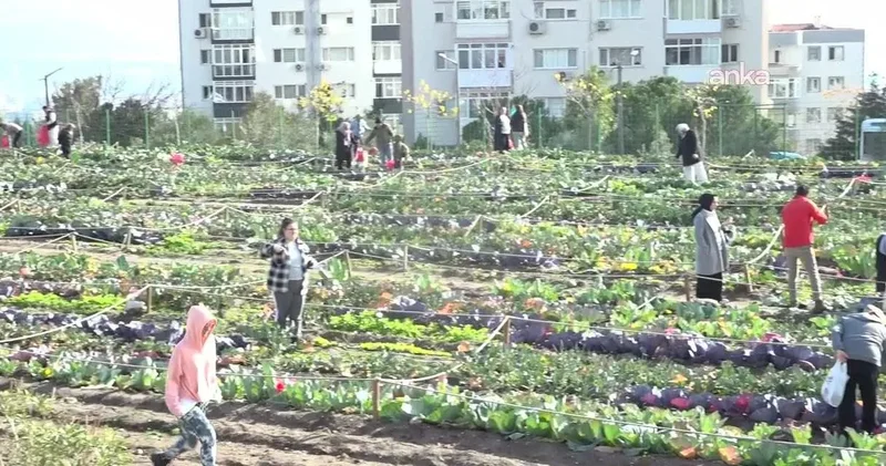 CHP den kent bostanları için çağrı: Yoksulluk için en büyük dayanışmadır