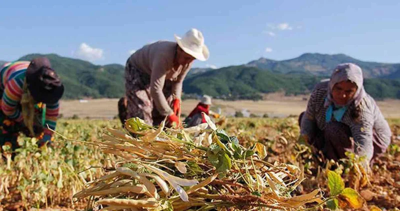 Hesabınızı hemen kontrol edin: Ödemeler yatmaya başladı!