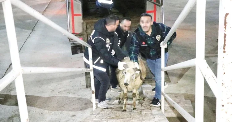 Bu da zehir tacirlerinin ‘Ar Ge’si