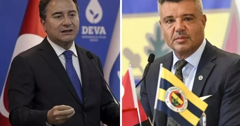 Ali Babacan dan Sadettin Saran tepkisi: Telefonla çağrılırsa gelmeyecek miydi?