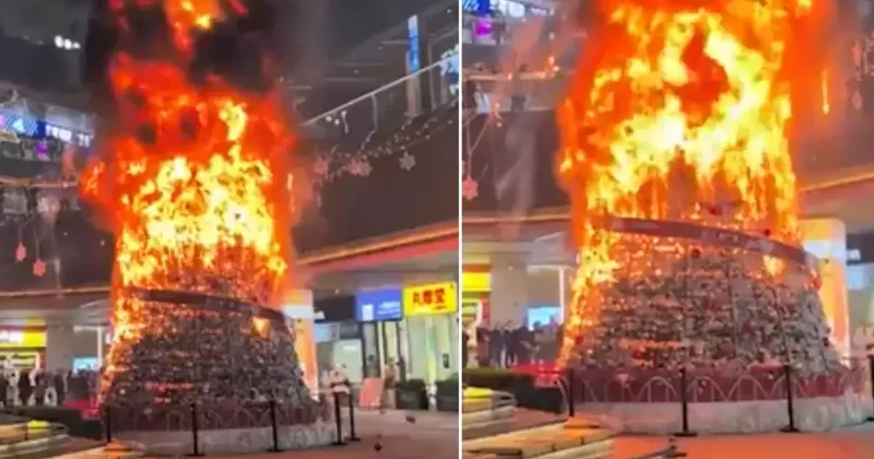 Müslümanlar Noel ağacını ateşe verdi dendi, gerçek çok başka çıktı