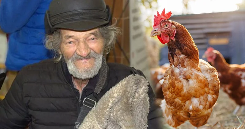 Bombaların arasından elinde tavuğuyla çıktı Sözcü Gazetesi