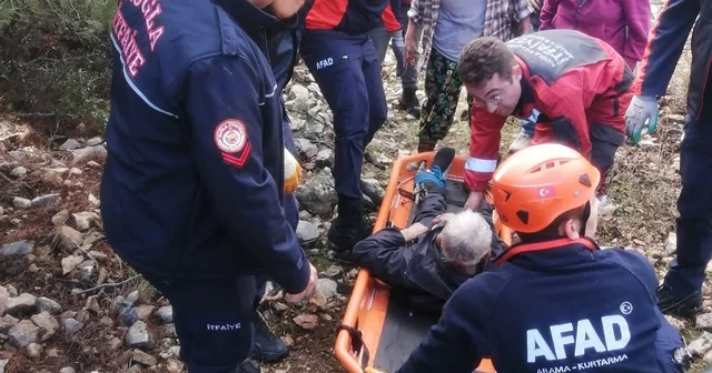 Hayvan otlatırken kayalıklardan düştü Muğla Haberleri