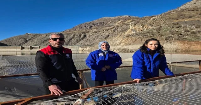 Uludere de alabalık üretim tesislerine denetim Şırnak Haberleri