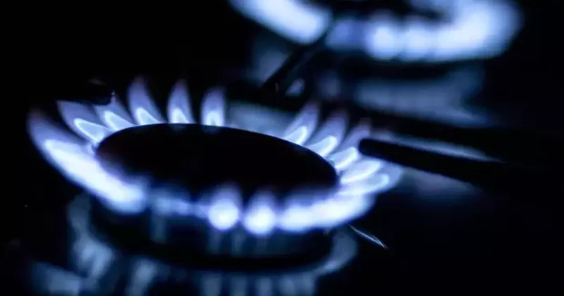 Bakan Göktaş tan doğal gaz açıklaması: Destek verilerini paylaştı!