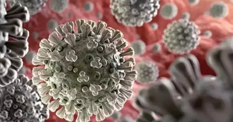 Nipah virüsü için uzmanından uyarı: Ölümcül seyir gösterebilir