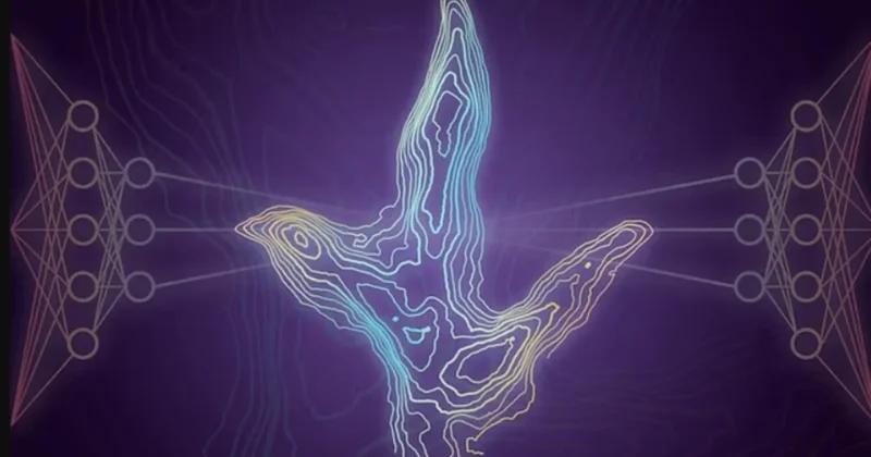 Kuşların tarihi yeniden yazılıyor! Yüz yıllık bilmeceyi yapay zeka çözdü Sözcü Gazetesi