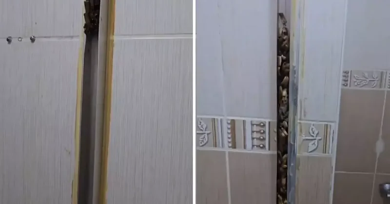 Öğrencilere kiraya verdiği eve giren kadın, gördüğü manzara karşısında sinir krizi geçirdi