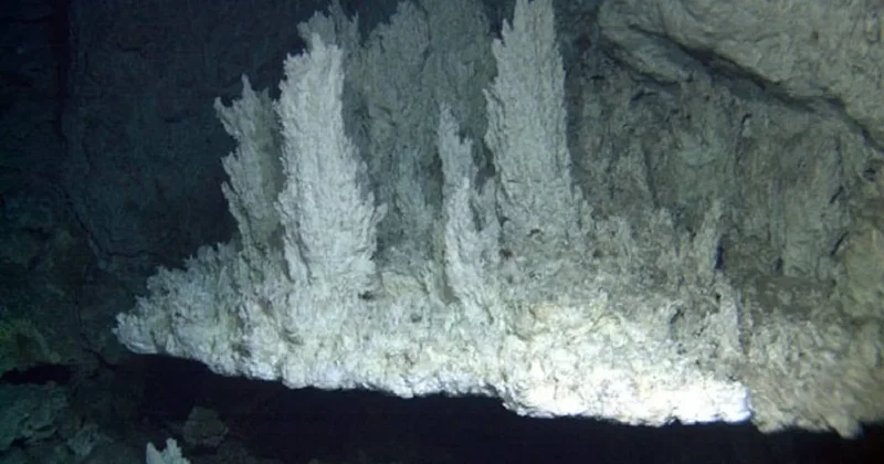 Okyanusun dibinde, dünyada eşi benzeri olmayan kayıp bir şehir bulundu Sözcü Gazetesi