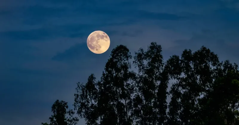 Ay neden ufukta daha büyük görünür?