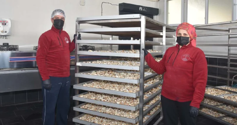 Eşiyle birlikte apartmanın altında üretmeye başladı şimdi siparişe yetişemiyor: Hollandalılar bayılıyor