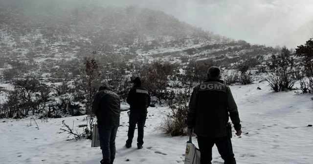 Dondurucu soğuklarda yaban hayata umut oldular Batman Haberleri