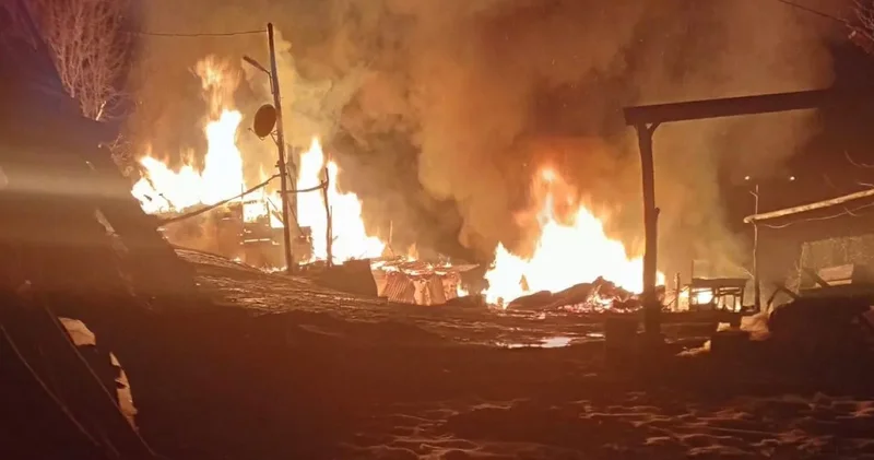 Ordu da korkunç olay! Yanan evin sahibi ağaçta asılı halde ölü bulundu