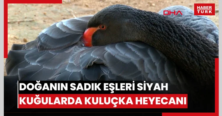 Tekirdağda deniz ulaşımına lodos engeli