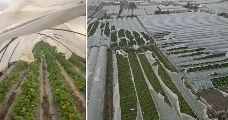 Antalya nın Demre ilçesinde hortumun zarar verdiği alanlar havadan görüntülendi Antalya Haberleri