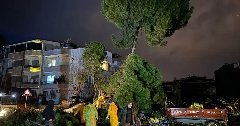 Fırtınada devrilen ağaç, elektrik tellerini kopardı