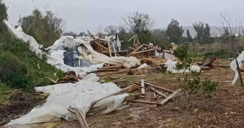 Manavgat’ta hortum 300 dönümlük alanda seraları yerle bir etti