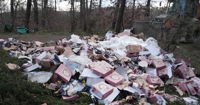 Ormanı çöplüğü çevirmişler Düzce de çevre kirliliğine müsaade yok Temizlik işleri, kent ormanını sahipsiz bırakmadı Çevre kirliliği ihlallerinde idari süreç başlatılacak Düzce Haberleri