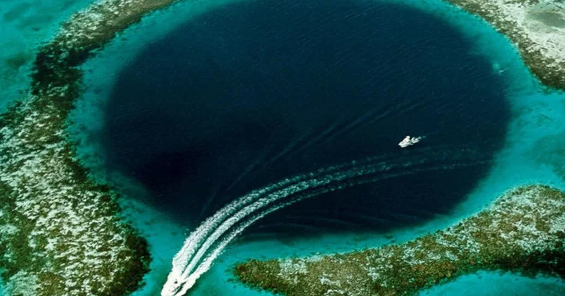 Denizin dibinde virüslerle dolu çukur keşfedildi Sözcü Gazetesi