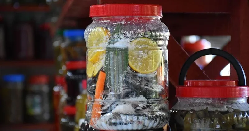 Bidonlara doldurulan hamsiler bin 500 liradan kapış kapış satılıyor Sözcü Gazetesi