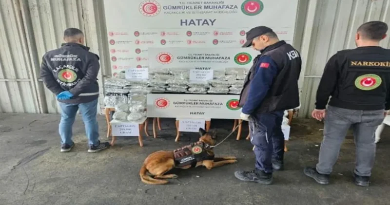 İskenderun Limanı’nda zehir tacirlerine operasyon