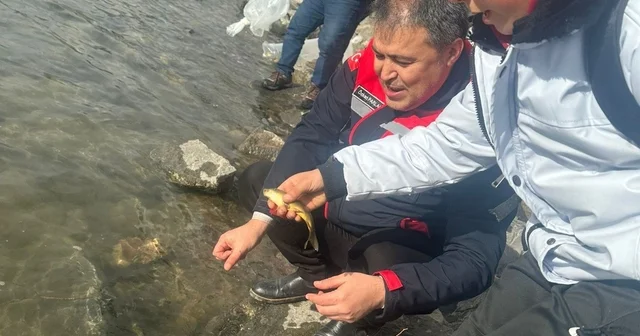 Göl ve göletlerde balıklandırma çalışması Afyonkarahisar Haberleri