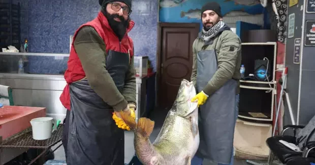 Elazığ haberleri Elazığ da yakalanan dev balığı iki kişi zor taşıdı! Fiyatı belli oldu 27 Ocak 2026