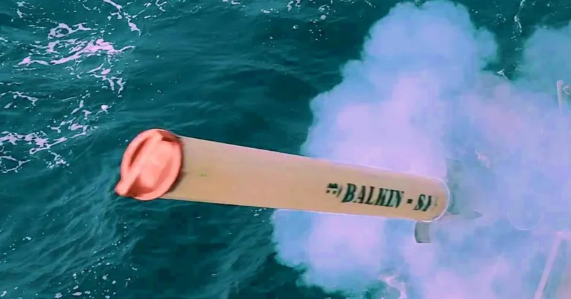 Yurt dışından alıyorduk MKE yerlisini üretti: BALKIN göreve hazır