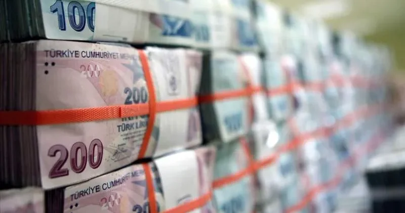 200 liranın alım gücündeki düşüş: Tedavüle girdiğinde 131 dolar ediyorken bugünkü değeri 4 dolar!