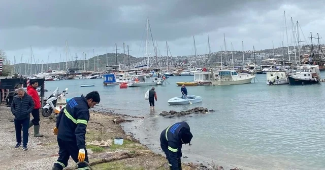 Bodrum da kıyıya izinsiz bağlama yapan 60 tekneye 1,5 milyon lira ceza Muğla Haberleri
