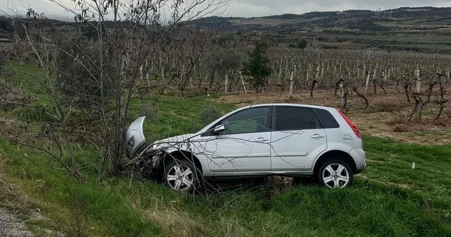 Buldan da aynı yolda ikinci kaza, otomobil üzüm bağına uçtu Denizli Haberleri