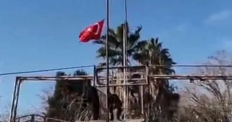 Mardin deki Bayrak provokasyonu soruşturması sürüyor: 11 şüpheli tutuklandı!