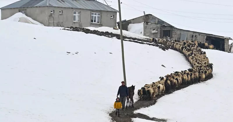 Bu köyün kışın tek sakini onlar! 3 metre karın altında nöbet tutuyorlar