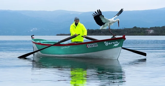Yaren Leylek ile Adem Amca, 15 inci kez buluştu; gelen Nazlı değil, Yaren miş Bursa Haberleri