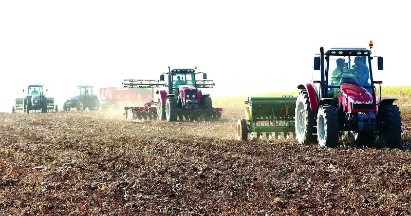 Yağış rekoru tarımı rahatlattı Ekonomi Haberleri