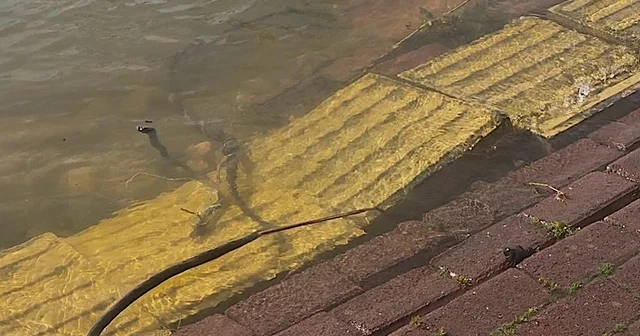 Yaren leyleğin köyü de yükselen göl sularından etkilendi Bursa Haberleri