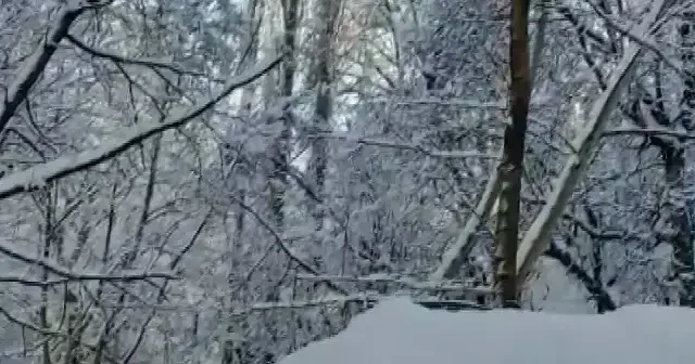 Batman’da kar yağışı hayatı olumsuz etkiledi VİDEO İZLE