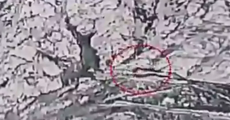 Pakistan ordusunun Afganistan a yağdırdığı bombalar havadan görüntülendi