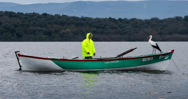 Kayığa konunca gerçek ortaya çıktı Gelen leylek Nazlı değil, Yaren miş Adem amca ile Yaren leyleğin 15 inci buluşması gerçekleşti Bursa Haberleri