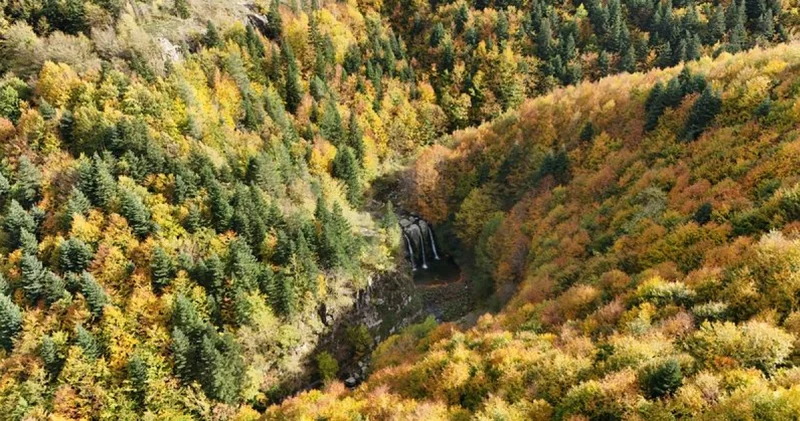 SON DAKİKA: 21 ilde bazı alanlar orman sınırları dışına çıkarıldı Son dakika haberleri