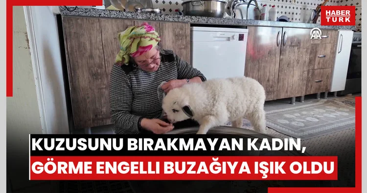 Kuzusunu Bırakmayan Kadın, Engelli Buzağıya Işık Oldu